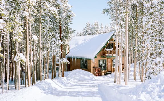 Vrbo background