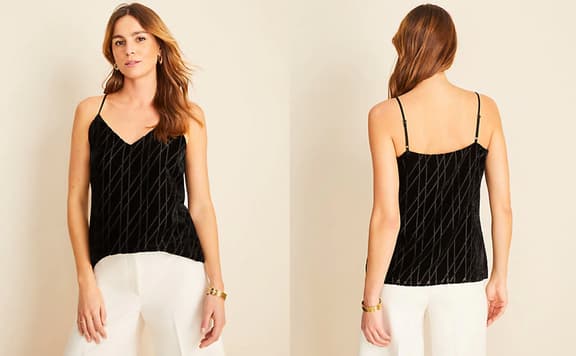 Ann Taylor background