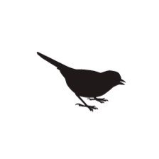 Olivia Burton logo2